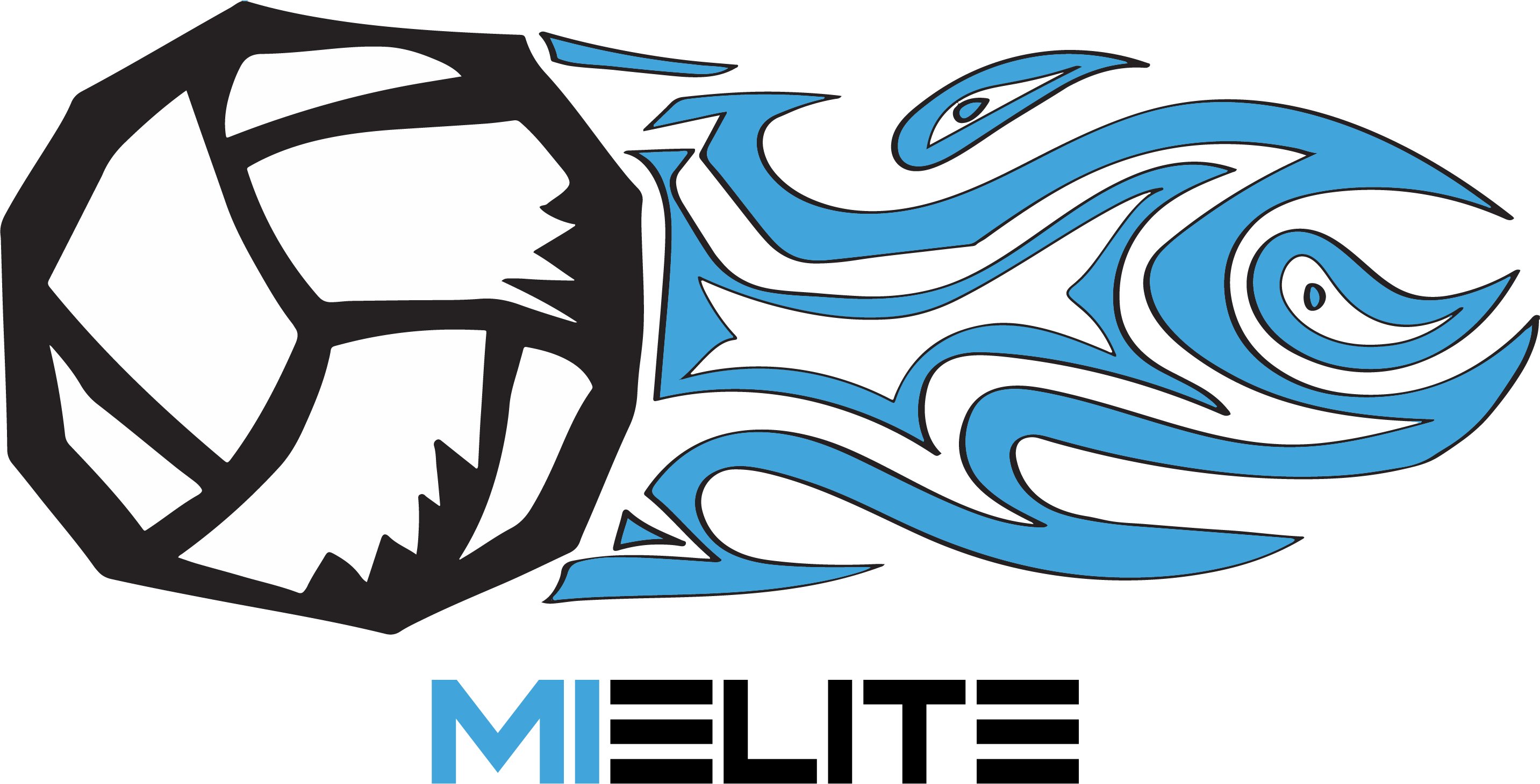 Michigan Elite Logo